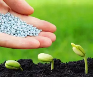 صورة الموظف