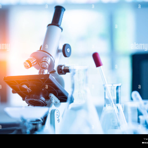 صورة الموظف